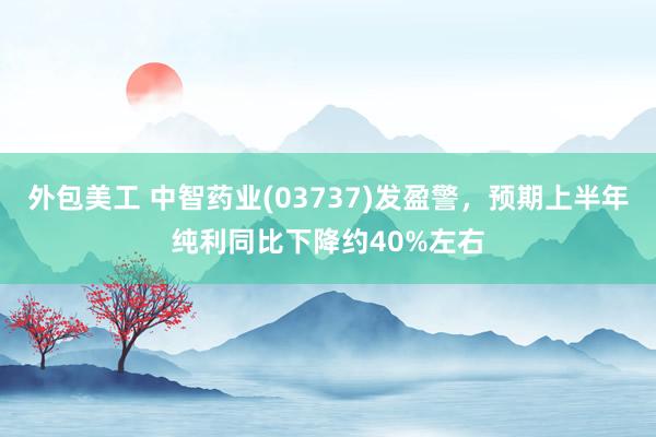 外包美工 中智药业(03737)发盈警，预期上半年纯利同比下降约40%左右