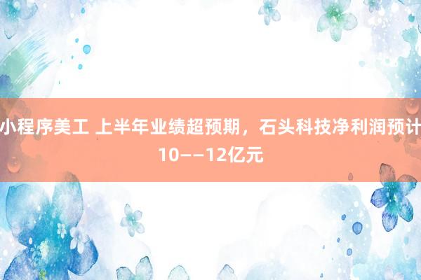 小程序美工 上半年业绩超预期，石头科技净利润预计10——12亿元